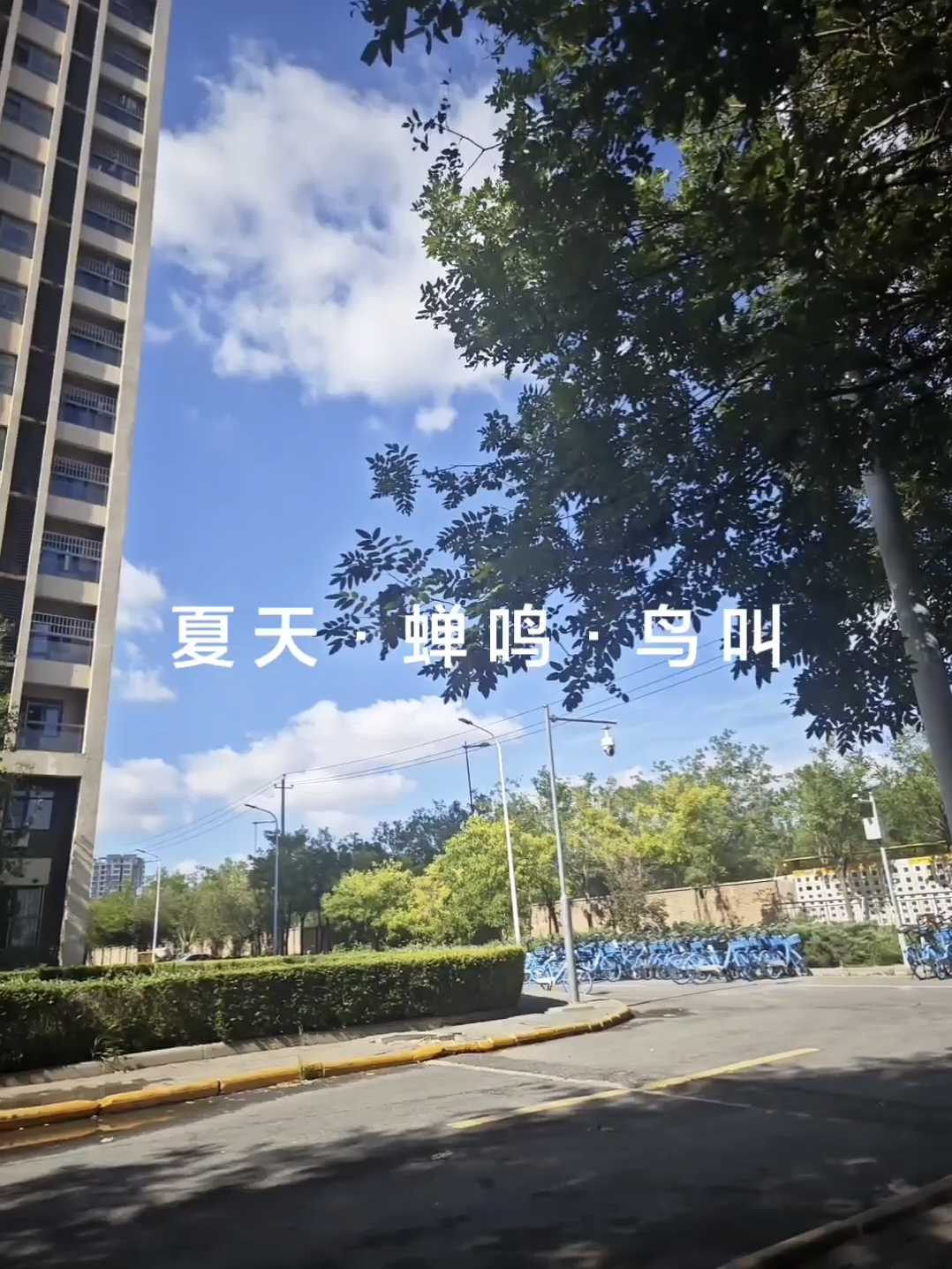 Screenshot_2025-07-30-01-02-11-632_com.miui.mediaviewer.png