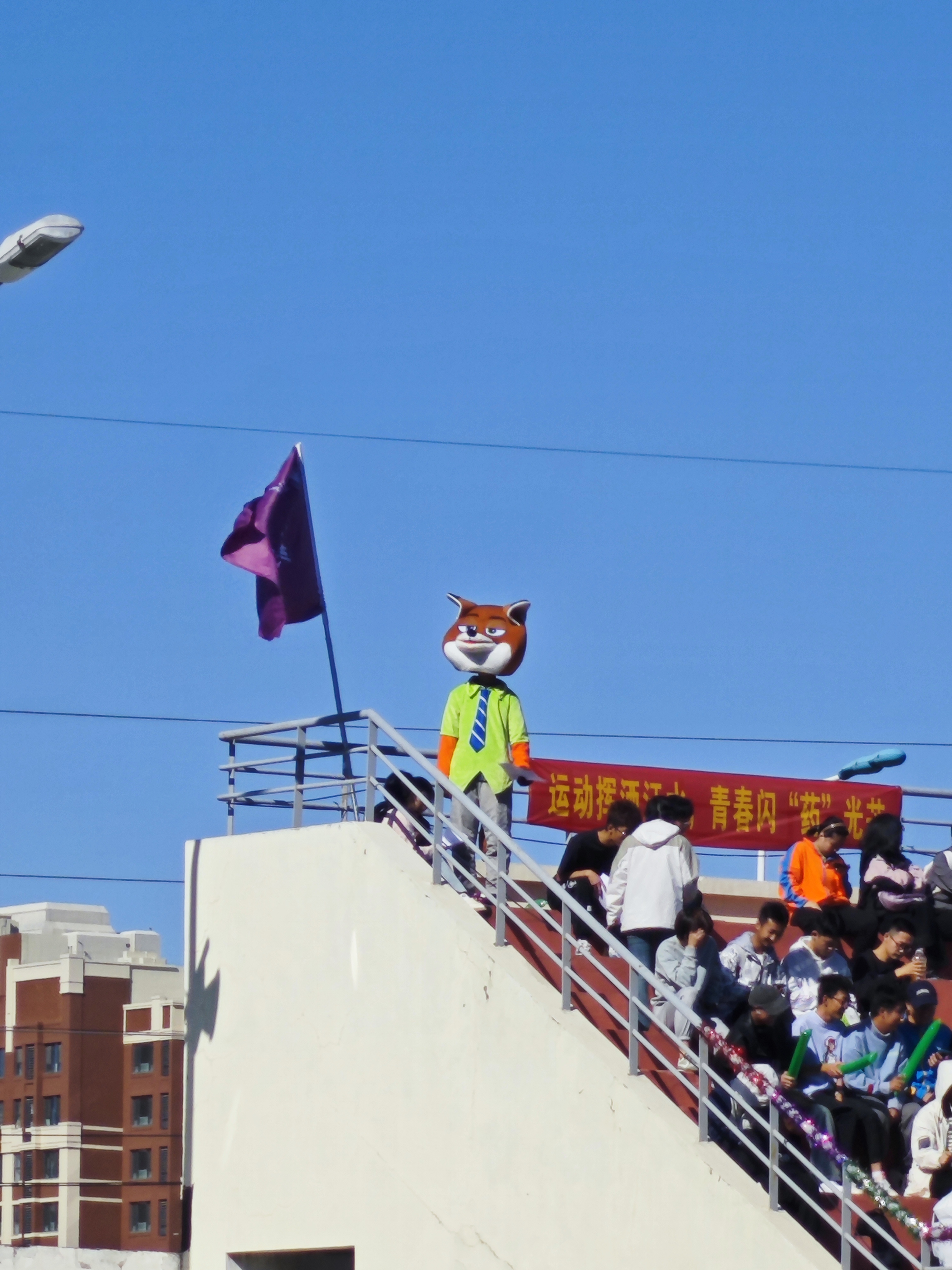 IMG_20231020_102400.jpg